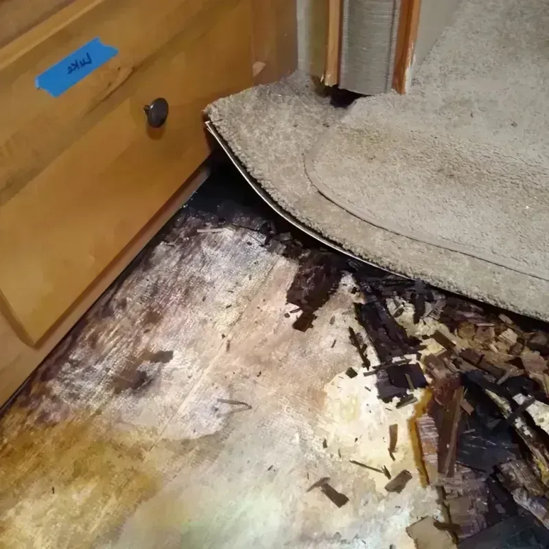 Wood Floor Water Damage in Robinwood, MD